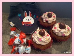 cupcakes (3)